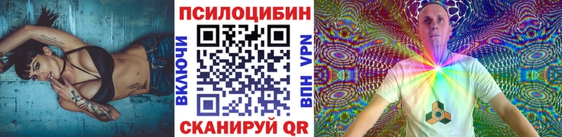 закладки  Безенчук  Псилоцибиновые грибы Psilocybe 